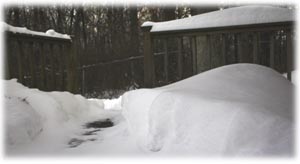 Front Porch in a Blizzard