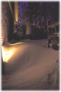 Lights Buried in Snow
